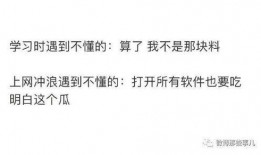 吃瓜娘娘知乎免费阅读,揭秘娱乐圈背后的故事