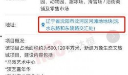 爆料最新项目是什么,行业颠覆者即将亮相