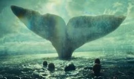 复仇的鲸在线观看,深海复仇记