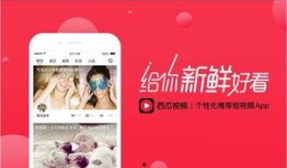 吃瓜天鹅天天爆料视频,天天爆料背后的娱乐风云