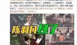 水门第二波爆料视频,揭秘更多惊人内幕