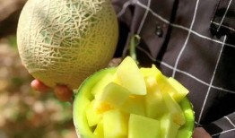 娱乐圈有什么瓜可以吃吗,揭秘明星幕后故事与热点事件