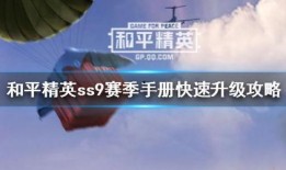 和平精英ss9手册是什么最新爆料,神秘内容抢先看