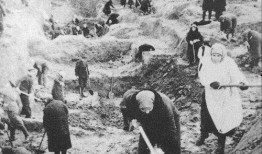 斯大林格勒战役在线观看,在线重温二战转折点的历史巨幕