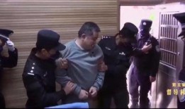 外媒爆料孙小果视频,外媒揭秘其惊人罪行