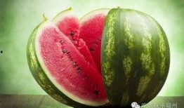 福州西瓜最新爆料,最新爆料揭秘口感与品种大比拼