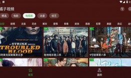 明星爆料短视频素材下载,短视频素材下载背后的故事