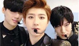 爆料蔡徐坤狗仔视频下载,揭秘明星私生活幕后真相