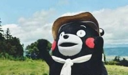 小胖爆料土牛视频大全,土牛视频大全，笑料百出欢乐多