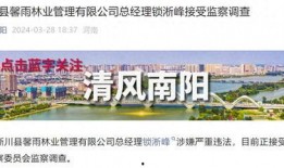 最新南阳爆料视频,最新事件真相曝光