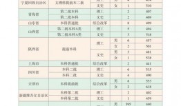 新骑士腰带爆料视频大全,揭秘神秘装备，探寻奇幻冒险之旅