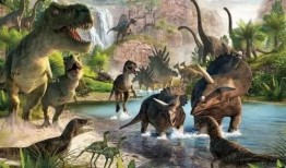 最新爆料恐龙妹,最新爆料揭示神秘生物之谜