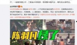 爆料医生出轨视频播放网站,网络传播背后的伦理争议