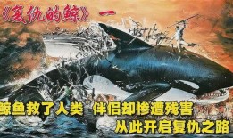 复仇的鲸在线观看,深海复仇记