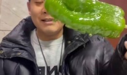 网红秃崽吃瓜视频大全集,揭秘网红圈幕后趣事