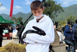 张继科微博爆料最新消息,揭秘背后惊人真相！