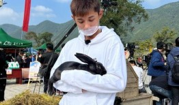 张继科微博爆料最新消息,揭秘背后惊人真相！