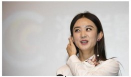 娱乐圈圈吃瓜酱,揭秘“吃瓜酱”背后的真相与内幕