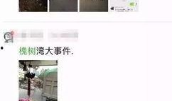 最新南阳爆料视频,最新事件真相曝光