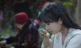 李子柒人品爆料视频完整版,人品爆料视频完整版深度解析