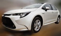 全新雷凌爆料最新消息