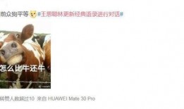 网红吃瓜感言图片大全集,趣味横生的瞬间集锦