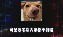 吃瓜娱乐剪辑,揭秘热门吃瓜娱乐剪辑背后的趣味与真相