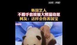 明星爆料官方回应视频,真相与澄清的较量