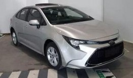 全新雷凌爆料最新消息