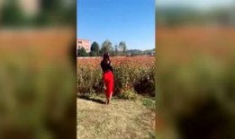 吃瓜神探免费吗,揭秘吃瓜神探的神秘世界