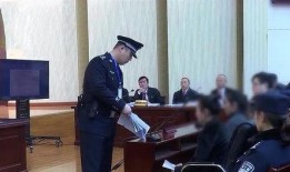 城口官员爆料案件最新,重大案件细节曝光，真相令人震惊！
