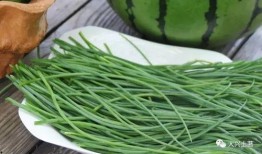 网红瓜去哪吃,瓜界美食地图大起底