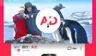 西瓜视频娱乐爆料怎么弄,揭秘热门事件幕后真相