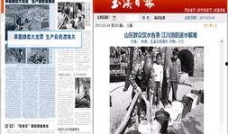 江川媒体爆料新闻视频,新闻视频背后的惊人真相！