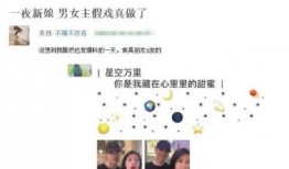 明星的爱恋爆料视频在线观看,独家视频带你直击甜蜜瞬间