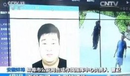 缅甸骗局爆料视频大全,揭秘视频大全背后的真相与警示