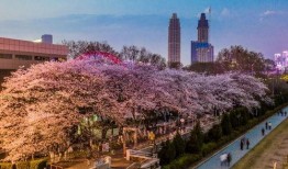 抖音网红吃瓜入口在哪,入口之谜大揭秘