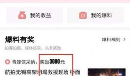 今日爆料视频在线观看,独家内容在线观看，真相尽在此处