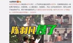 河南出轨爆料新闻视频最新,真相与道德的碰撞