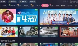 仙桃网红爆料事件视频播放,揭秘背后真相