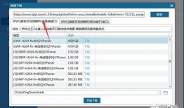 有爆料链接的视频软件吗,揭秘爆料链接背后的秘密