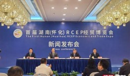 怀化市爆料新闻,揭秘背后惊人真相！