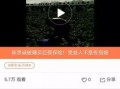 最新南阳爆料视频,最新事件真相曝光