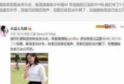 马蓉爆料鹿晗视频大全集,鹿晗视频大全集曝光背后的真相