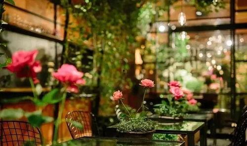 娱乐吃瓜酱花店